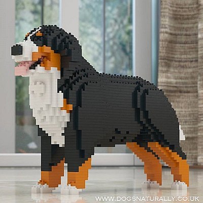 Bernese Mountian Dog (Stood) Jekca Available in 2 Sizes